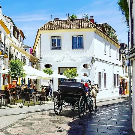 El Cardenal Апартаменти Кордова